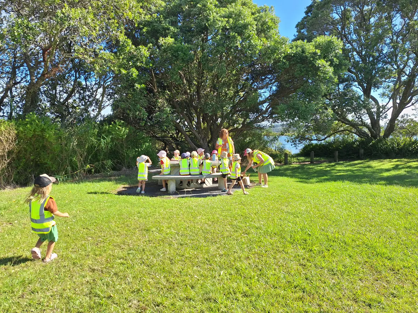 Children sitting at a long picnic table under pōhutukawa trees beside the harbour, one child running across the grass.