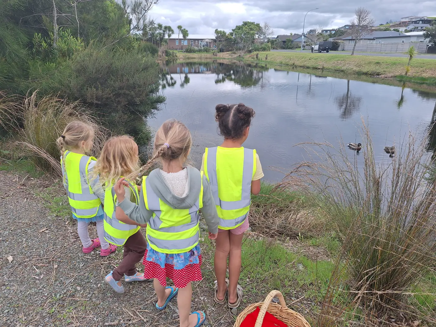 Four children in hi-vis vests standing at the edge of a pond watching two ducks.