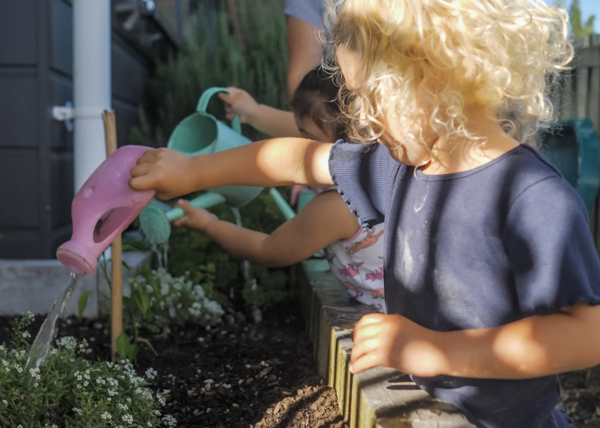 Two children watering the garden beds with watering cans.